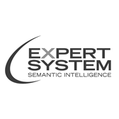 EXPERT SYSTEM