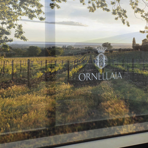 Interactive Transparent Oled, il tesoro high-tech della tenuta Ornellaia