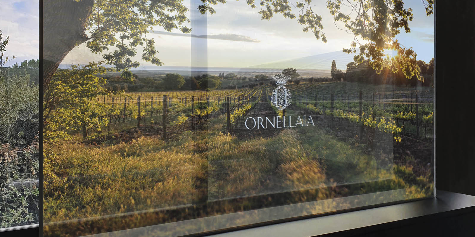 Touchwindow - Interactive Transparent Oled, Ornellaia Estate’s high-tech treasure